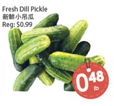 Fresh Dill Pickle