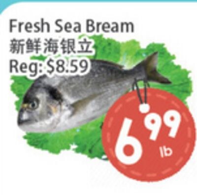 Fresh Sea Bream