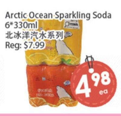 Arctic Ocean Sparkling Soda