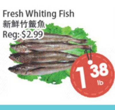 Fresh Whiting Fish