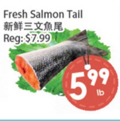 Fresh Salmon Tail