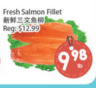 Fresh Salmon Fillet