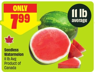 Seedless Watermelon 11 lb Avg Product of Canada