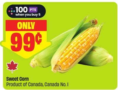 Sweet Corn Product of Canada, Canada No. 1