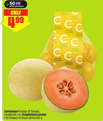 Cantaloupe Product of Canada, Canada No. 1 or C…