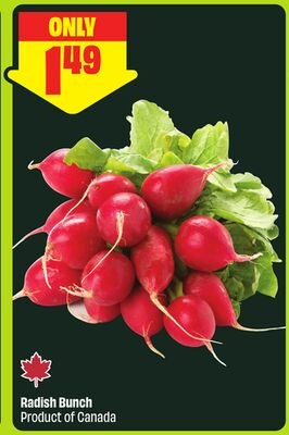 Radish Bunch Product of Canada