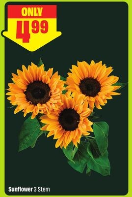 Sunflower 3 Stem