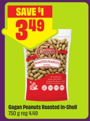 Gagan Peanuts Roasted In-Shell 750 g