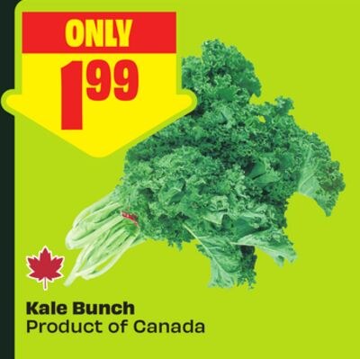 Kale Bunch Product of Canada