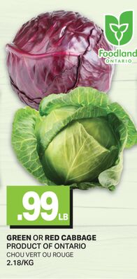 GREEN OR RED CABBAGE / CHOU VERT OU ROUGE