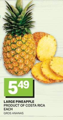 LARGE PINEAPPLE / GROS ANANAS