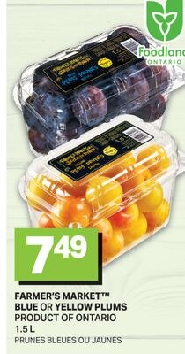 FARMER'S MARKET™ BLUE OR YELLOW PLUMS / PRUNES …