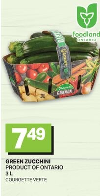 GREEN ZUCCHINI / COURGETTE VERTE, 3 L