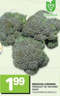 BROCCOLI CROWNS / COURONNES DE BROCOLI