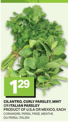 CILANTRO, CURLY PARSLEY, MINT OR ITALIAN PARSLE…