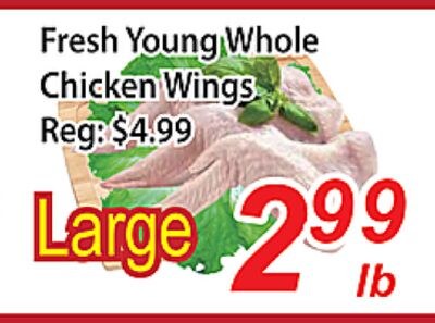 Fresh Young Whole Chicken Wings