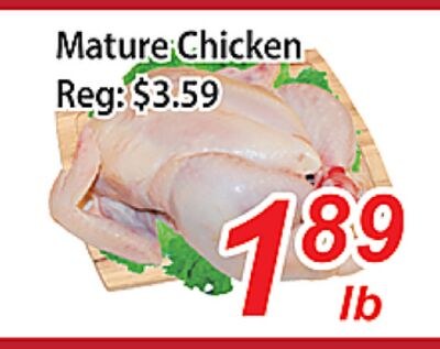 Mature Chicken