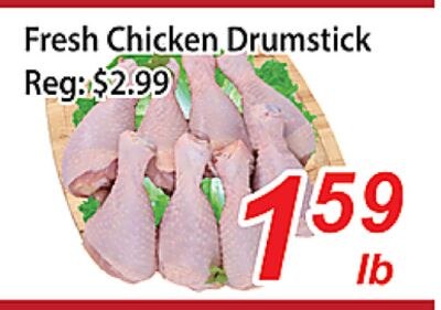 Fresh Chicken Drumstick