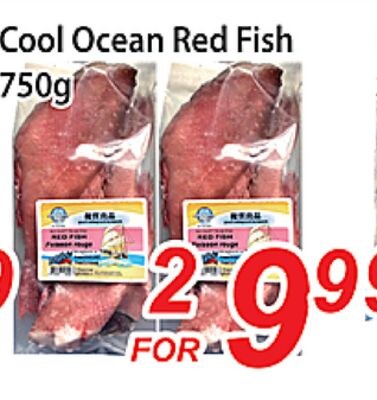 Cool Ocean Red Fish