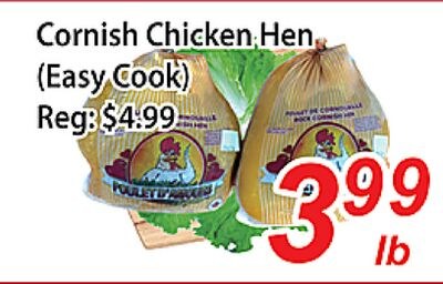 Cornish Chicken Hen (Easy Cook)