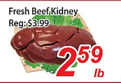 Fresh Beef Kidney