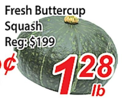 Fresh Buttercup Squash