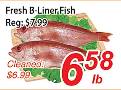 Fresh B-Liner Fish