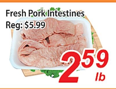 Fresh Pork Intestines