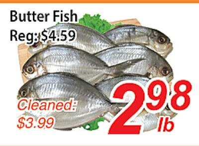Butter Fish