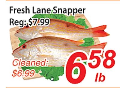 Fresh Lane Snapper