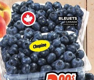 Bleuets Choline