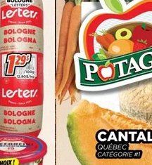 Bologna Letzei