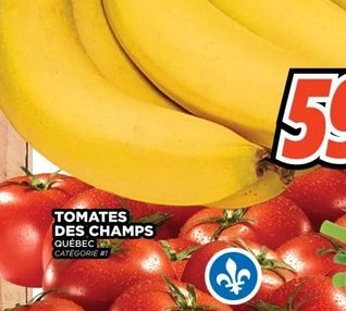 Tomates des Champs Québec