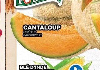 Blé d'Inde