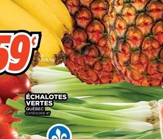 Échalotes vertes Québec