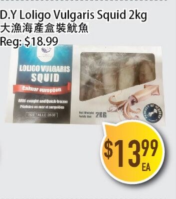 D.Y Loligo Vulgaris Squid 2kg