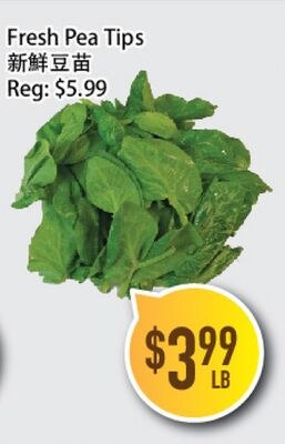 Fresh Pea Tips