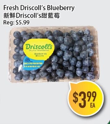 Fresh Driscoll's Blueberry