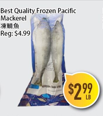 Best Quality Frozen Pacific Mackerel
