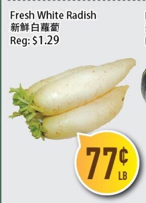 Fresh White Radish