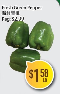 Fresh Green Pepper