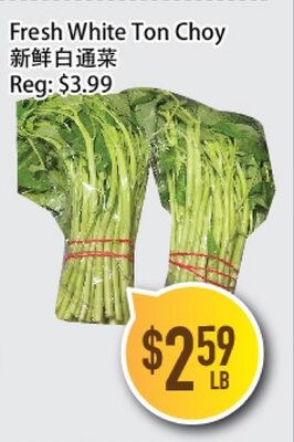 Fresh White Ton Choy