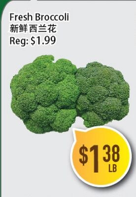 Fresh Broccoli