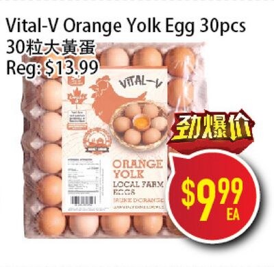 Vital-V Orange Yolk Egg 30pcs