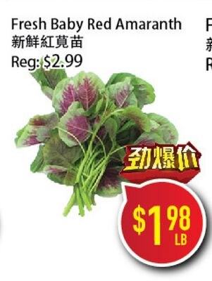 Fresh Baby Red Amaranth