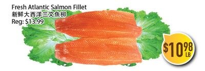 Fresh Atlantic Salmon Fillet