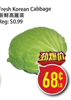 Fresh Korean Cabbage
