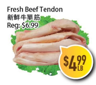 Fresh Beef Tendon