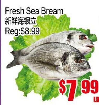Fresh Sea Bream