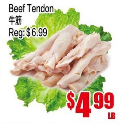 Beef Tendon